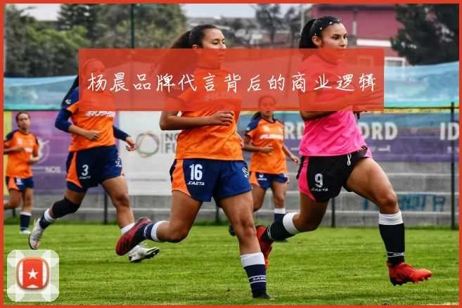 杨晨品牌代言背后的商业逻辑