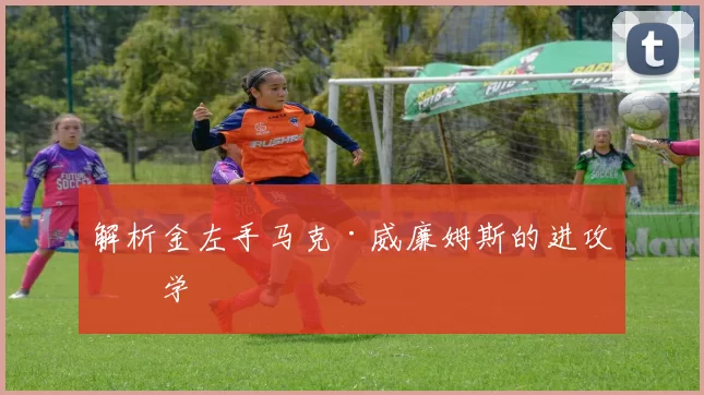 解析金左手马克·威廉姆斯的进攻哲学